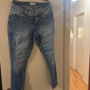 Buckle BKE Gabby Skinny Stretch jean